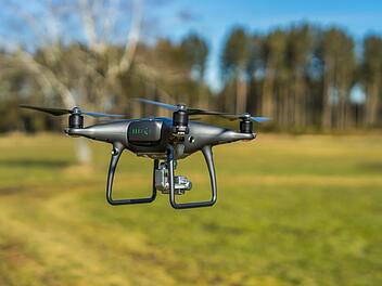 Bamberg: Drohne fliegt in K&uuml;rze &uuml;ber den Hain - um Gesundheitszustand zu checken