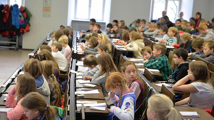 Am Samstag ging es an der Bamberger Kinder-Uni um die Frage, ob Bäume Tagebuch schreiben. Foto: Ronald Rinklef