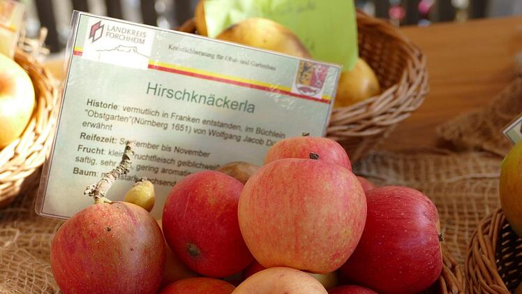 Viele heimische Apfelsorten wurden vorgestelt. Foto: Sonja Schr&uuml;fer