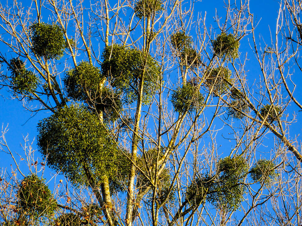 Fotos Konrad Thomann