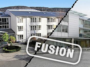 Kommt die Fusion zustande oder sind beide Partner zu unterschiedlich? Grafik: Dagmar Klumb