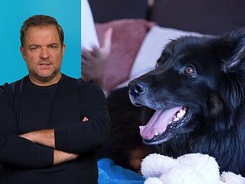 Martin Rütter will die Gründe für Jimmys Beißattacken herausfinden.