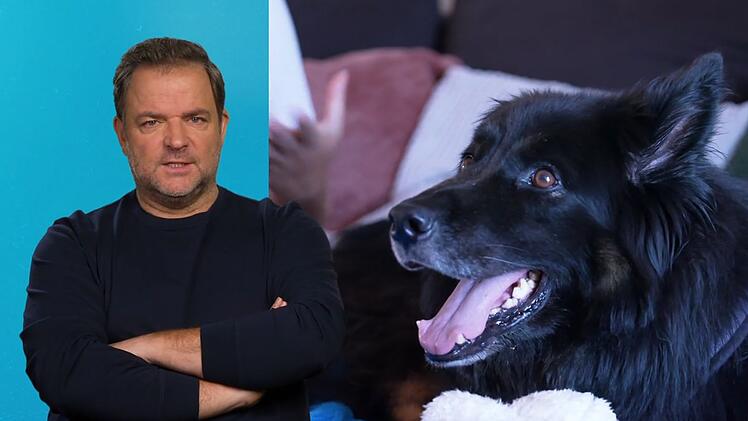 Martin Rütter will die Gründe für Jimmys Beißattacken herausfinden.