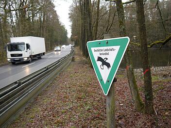 Sanierungsfall: Die Staatsstraße 2708 ist in einem schlechten Zustand.   Spätestens im kommenden  Jahr  will das Staatliche Bauamt die  Genehmigung für einen Ausbau in der Birkiger Heide (Bild) beantragen.    Von Montag an  bleibt die  Straße  bis Freitag gesperrt, weil eine undichte Stelle am Teich geflickt werden muss. - Foto: Berthold Köhler