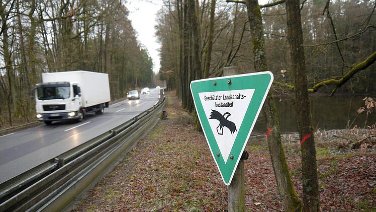 Sanierungsfall: Die Staatsstraße 2708 ist in einem schlechten Zustand.   Spätestens im kommenden  Jahr  will das Staatliche Bauamt die  Genehmigung für einen Ausbau in der Birkiger Heide (Bild) beantragen.    Von Montag an  bleibt die  Straße  bis Freitag gesperrt, weil eine undichte Stelle am Teich geflickt werden muss. - Foto: Berthold Köhler