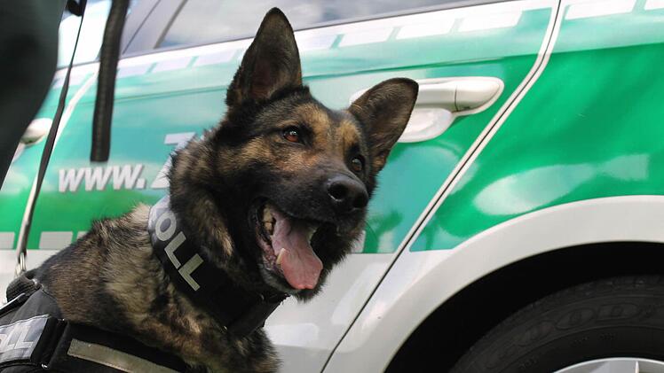 Fee nach ihrem Einsatz. Foto: Martin Kreklau