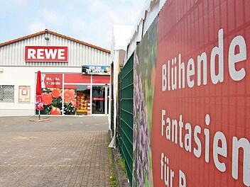 Ein Produkt blühender Fantasien waren die im Steinberger Rewe-Markt gefundenen Krabbeltiere zwar nicht, doch die hochgiftige "Brasilianische Wanderspinne" - auch "Bananenspinne" genannt - entpuppte sich letztlich als harmlose "Riesenkrabbenspinne". Foto: Marian Hamacher