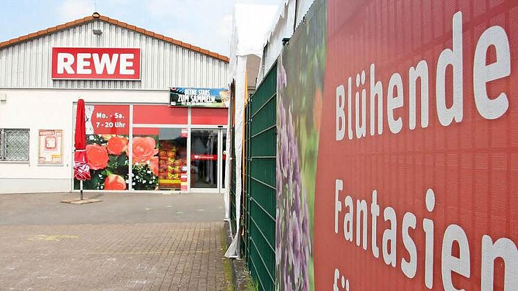 Ein Produkt blühender Fantasien waren die im Steinberger Rewe-Markt gefundenen Krabbeltiere zwar nicht, doch die hochgiftige "Brasilianische Wanderspinne" - auch "Bananenspinne" genannt - entpuppte sich letztlich als harmlose "Riesenkrabbenspinne". Foto: Marian Hamacher