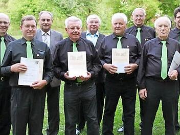 Vordere Reihe von links: Bernhard Schumann, Horst Nitsch, Fritz Dorscht, Michael Wolf; hintere Reihe von links: Vorsitzender Raimund Köhler, Peter Märkel , FSB, Peter Dotterweich, Andreas Neundörfer, stellvertretender Vorsitzender Matthias Schumm, von den Geehrten fehlen Alfred Reh und Norbert Beck. Foto: p