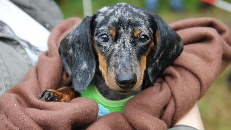 Foto: Mariell Dörrschmidt