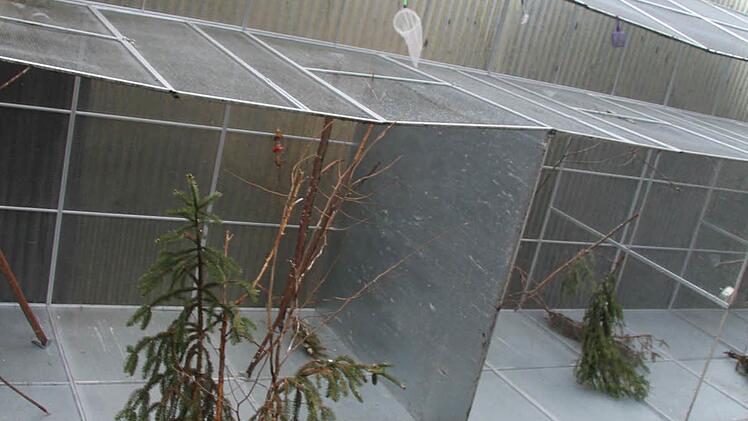 Die neuen Voliere passen sich gut an das Gelände an, doch die Kosten für die Wildtier-Auffangstation eplodieren.