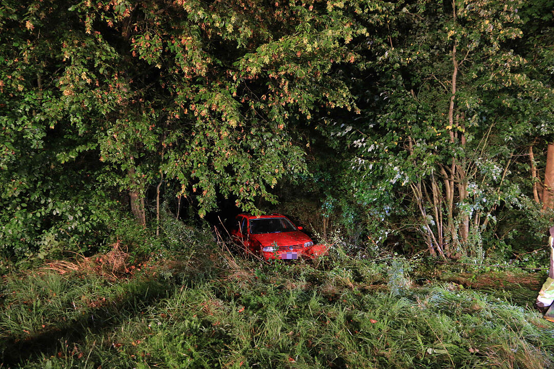 Auto landet bei Roßstadt im Unterholz