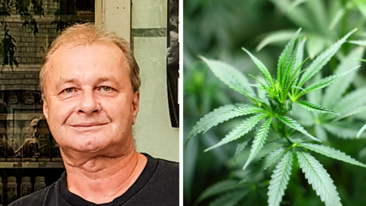 Würzburg: Schmerzpatient wegen Cannabis-Anbau auf Bewährung - Regierungspläne ihm unzureichend