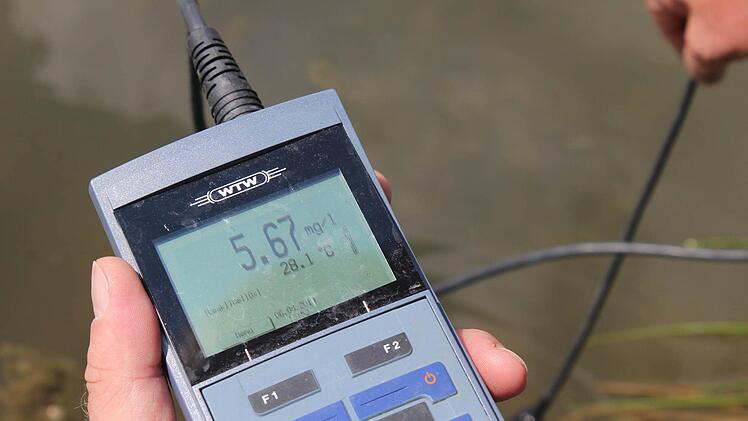 Ideal für die Karpfen: 5,6 Milligramm Sauerstoff bei 28 Grad Wassertemperatur. Foto: Andreas Dorsch