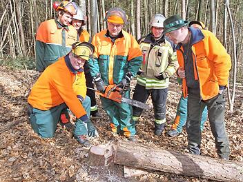 Rainer Therjan (vorn kniend) erläutert den richtigen Schnitt beim Fällen eines Baumes. Förster Erich Daum (r.) schaut zu.  Foto: Erlwein