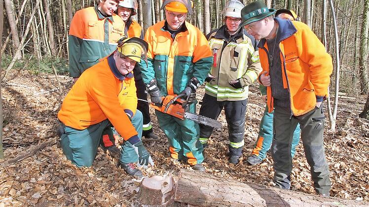 Rainer Therjan (vorn kniend) erläutert den richtigen Schnitt beim Fällen eines Baumes. Förster Erich Daum (r.) schaut zu.  Foto: Erlwein