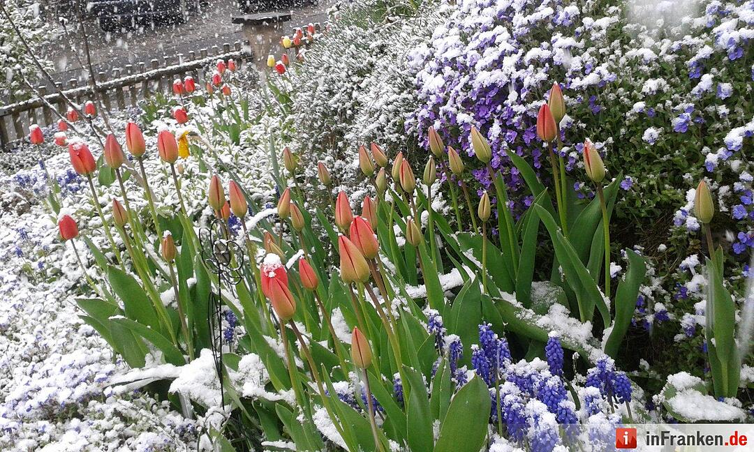 Winter im April 2016 in Franken