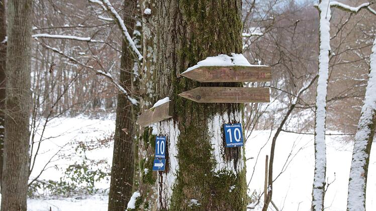 Winterwanderung zum Trettstein-Waserfall. Foto: Ralf Ruppert