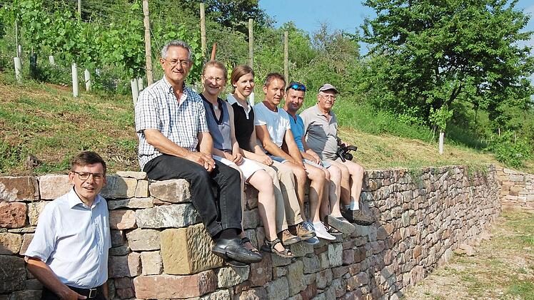 Freude herrscht über die ersten beiden fertiggestellten Weinbergsmauern am Sturmiusberg in Diebach. Von links: Bürgermeister Armin Warmuth, Roland Lenhart (Leiter der Unteren Naturschutzbehörde), Ortsbeauftragte Elisabeth Assmann, Aglaia Abel (Leiterin des Landschaftspflegeverbandes), die Grundstücksbesitzer Alexander Schaub und Marco Gensler sowie Naturschutzwächter Friedrich Mährlein. Foto: Wolfgang Dünnebier