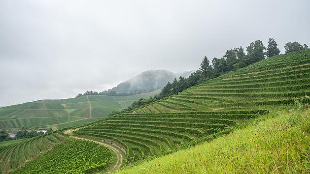 Wetter in Baden-Württemberg
