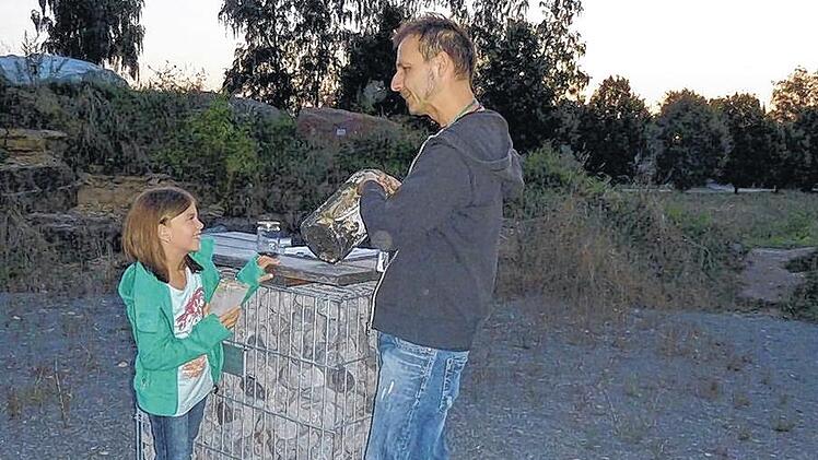 Fledermäusen auf der Spur