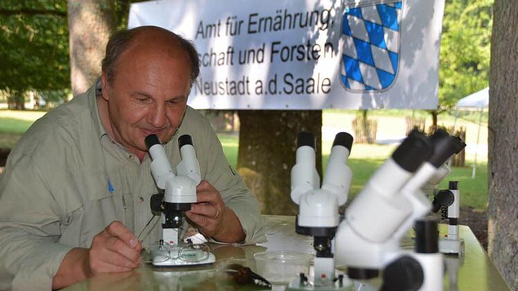 Im Wildpark gab es viel zu entdecken. Foto: Rauch