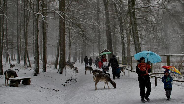 Stimmungsvoller Winterspaziergang im Klaushof. Foto: Werner Vogel