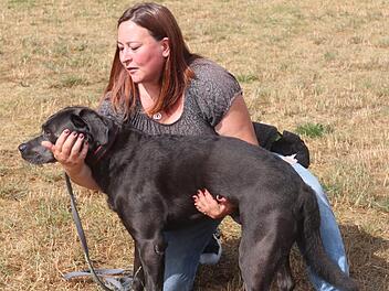 Lisa Litz zeigt den wichtigen Fixierungsgriff an ihrem Hund Banji, einem Labrador.    Foto: Johanna Blum
