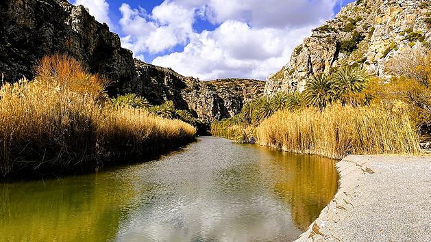 Im S&uuml;den von Kreta kannst du einen sagenhaften Palmen-Wald finden, wessen Strand nur zu Fu&szlig; erreichbar ist.