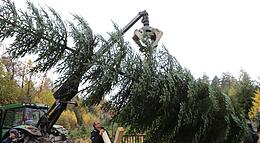 Vorschaubild