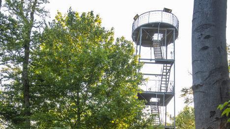 Der Weg zum Dreistelzturm. Foto: Jürgen Hüfner