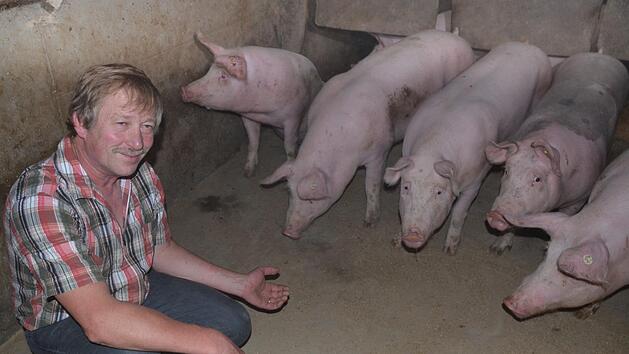 Thomas Schreiner bei seinen Schweinen im Pigport.Rainer Lutz