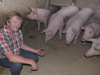 Thomas Schreiner bei seinen Schweinen im Pigport.Rainer Lutz