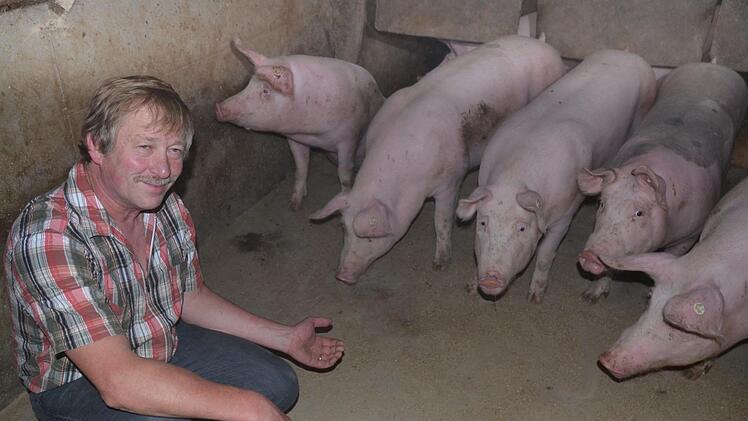 Thomas Schreiner bei seinen Schweinen im Pigport.Rainer Lutz