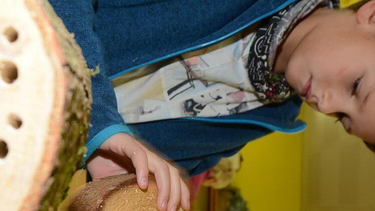Impressionen vom Nisthilfenbau in der Melkendorfer Grundschule Dagmar Besand
