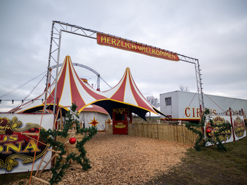 Aktivisten? Zirkus-Chef best&uuml;rzt &uuml;ber freigelassenes Pferd