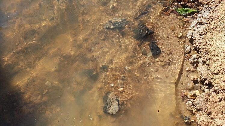 Das muss man erst einmal erkennen, dass es sich bei den unscheinbaren Scherben um Reste eines uralten Gefäßes handelt! Alle Fotos: Mark Werner