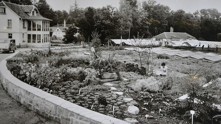 So stellte sich die Rosenau Ende der 1950er Jahre dar - mit Gemüseanbau oberhalb der Orangerie.Foto: Archiv