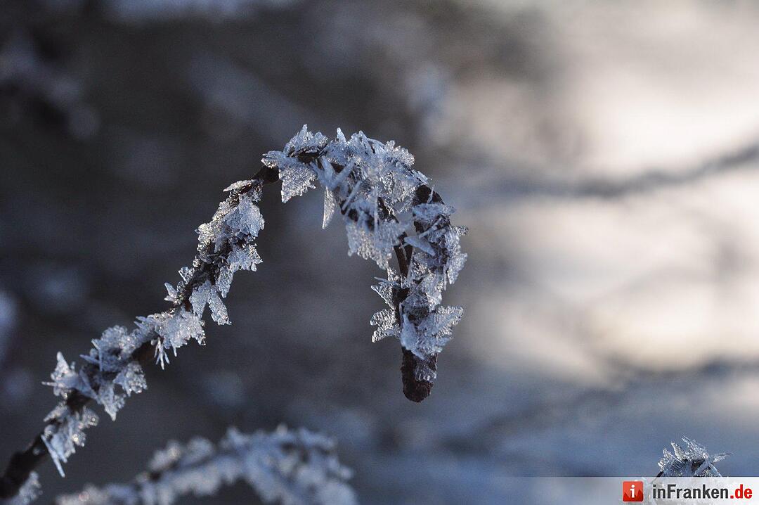 Eis und Schnee in Franken - die schönsten Winterleserfotos