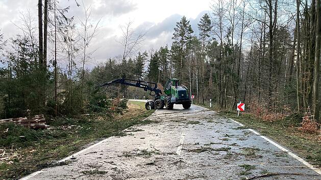 Landkreis Lichtenfels: Kreisstra&szlig;e bleibt gesperrt - wegen weiterer Sturmsch&auml;den-Beseitigung
