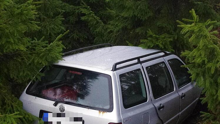 Die Fahrt führte von einer Wiese hangabwärts in ein großes Waldgebiet.