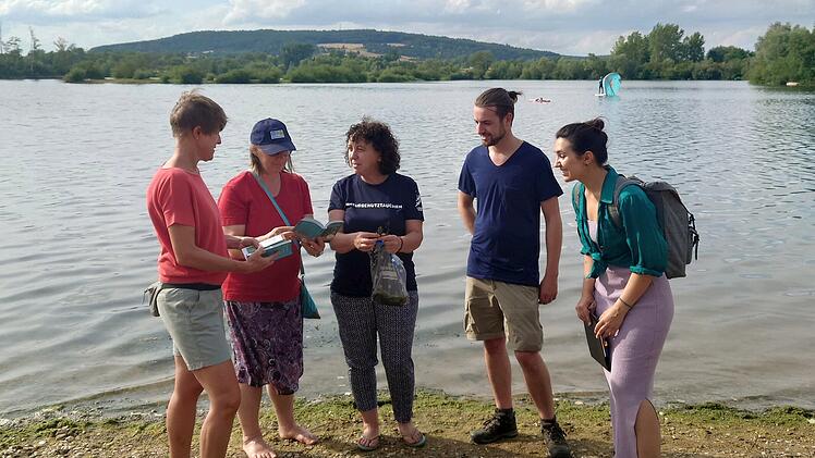 Breitengüßbach: Tauchen für den Naturschutz - Unterwasservegetation im See soll beobachtet werden