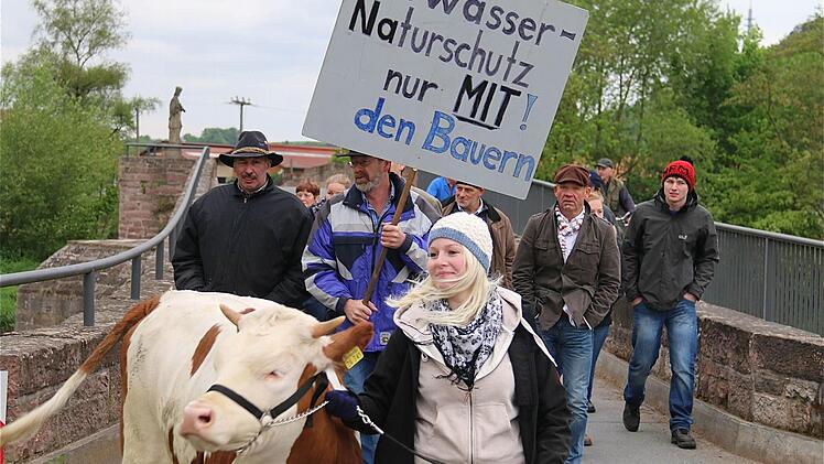 Alfred Greubels Tochter Laura führte mit einer Jungkuh den Protestmarsch zum Wasserwirtschaftsamt Bad Kissingen an. Fotos: Gerd Schaar