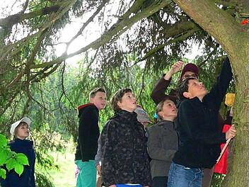 "Da ist er": Paul Deckelmann und seine jungen Mitwanderer haben den "Schatz" bei der Familienwanderung der Frankenwaldvereins-Ortsgruppe Nordhalben entdeckt. Foto: Norbert Neugebauer