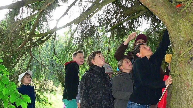 "Da ist er": Paul Deckelmann und seine jungen Mitwanderer haben den "Schatz" bei der Familienwanderung der Frankenwaldvereins-Ortsgruppe Nordhalben entdeckt. Foto: Norbert Neugebauer