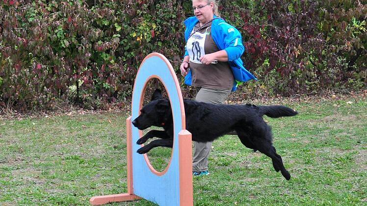 Doris Beck-Wirth aus Westheim von den Hundefreunden Eltmann. Foto: Ulrike Langer