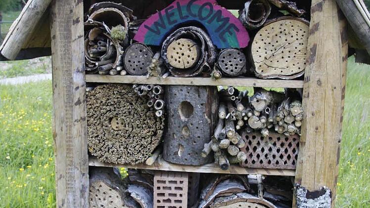Das Insektenhotel