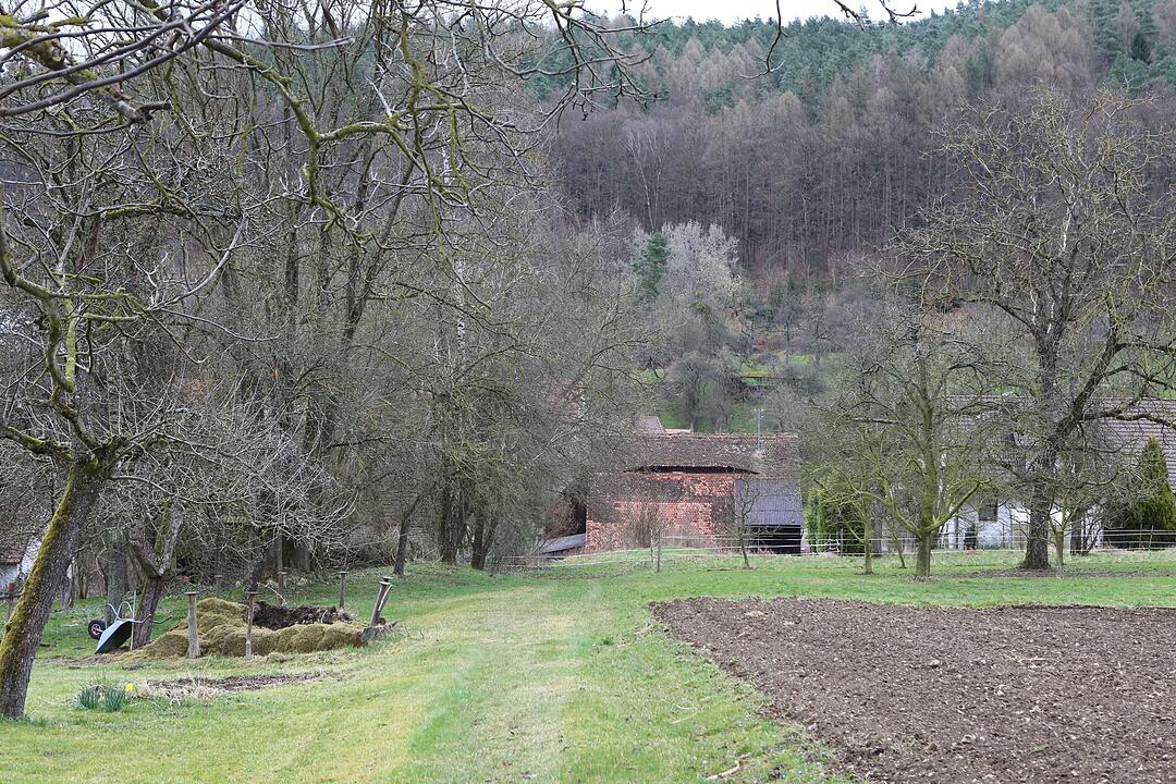 SoS Poppendorf bei Pretzfeld im  Lkr. Fo; Foto: Barbara Herbst