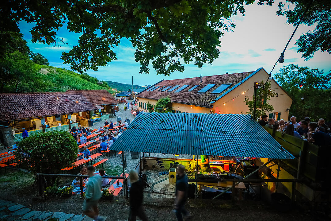 Das Kultweinfest vom Familienweingut Dahms.