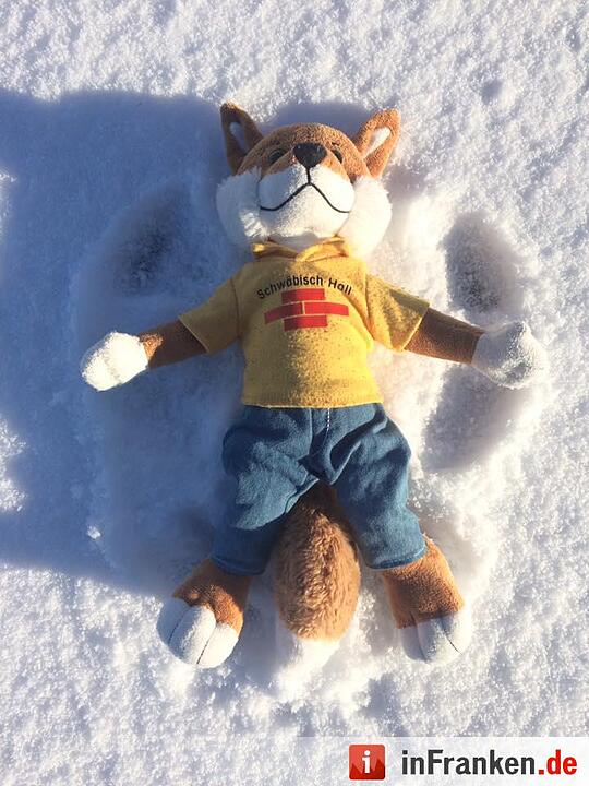 Eis und Schnee in Franken - die schönsten Winterleserfotos